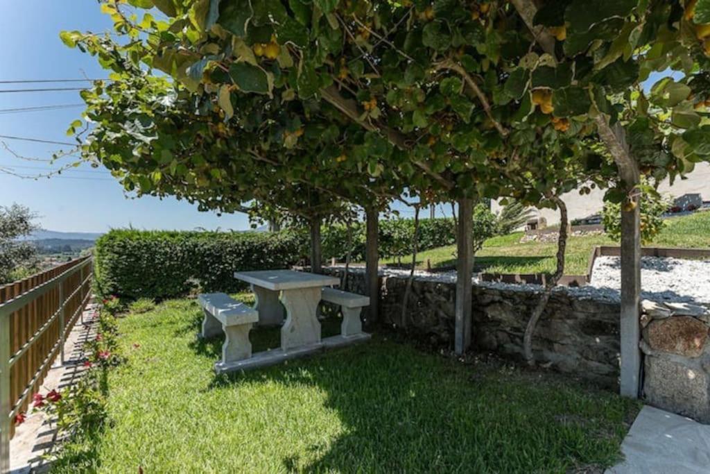 Fernandes Guest House Sunshine Studio Ponte de Lima Exteriér fotografie